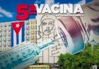 WASHINGTON POST DIZ QUE CUBA PODE SE TORNAR  UMA POTÊNCIA DE VACINAS CONTRA O CORONAVIRUS 