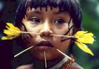 Mineração e garimpo disputam área maior do que a Bélgica dentro da Terra Indígena Yanomami