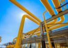 PETROBRÁS GASTA R$ 3 BI AO ANO PARA ALUGAR GASAODUTOS QUE PRIVATIZOU