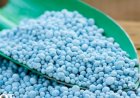 Saída da Petrobrás do setor de fertilizantes aumentou dependência das importações da Rússia