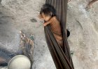 Entenda o esquema que deixou 10 mil crianças indígenas sem remédios