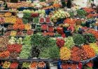 Opinión. La agricultura, llave maestra para la paz y el progreso
