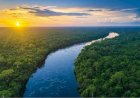 Amazônia enfrenta escalada inédita de temperaturas extremas em áreas ainda preservadas