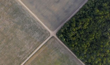 O Conselho da Amazônia e projeto nacional brasileiro: o papel do Congresso Nacional