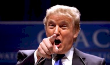 Trump pagou apenas 750 dólares de impostos nos anos de 2016 e 2017, de acordo com o ‘The New York Times’