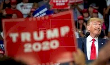 Aliados de Trump avaliam brecha em lei para manipular Colégio Eleitoral e reeleger republicano