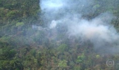 Sustentabilidade: Nossa Amazônia perdeu 8 por cento do seu território em 18 anos