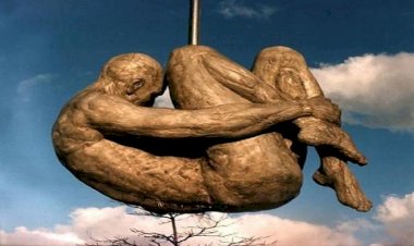 Brasil em tempos de negacionismo