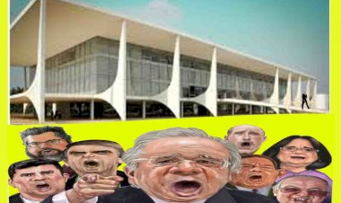 “Viramos hospício”, diz líder da Frente Brasil-China sobre frase de Guedes