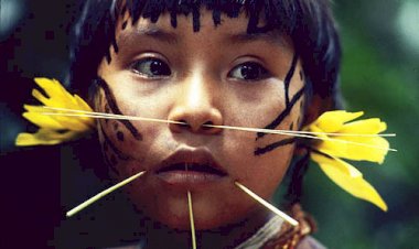 Mineração e garimpo disputam área maior do que a Bélgica dentro da Terra Indígena Yanomami