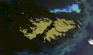 El apoyo de China por Malvinas profundiza una relación con muchos acuerdos
