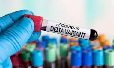 'A guerra mudou': documento interno do CDC pede novas mensagens, adverte infecções delta provavelmente mais graves