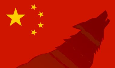 China adota diplomacia de “guerreiros lobos” em relação com EUA