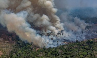 AMAZÔNIA EM CHAMAS, UMA RADIOGRAFIA DE FOGO E VIOLÊNCIA EM RONDÔNIA