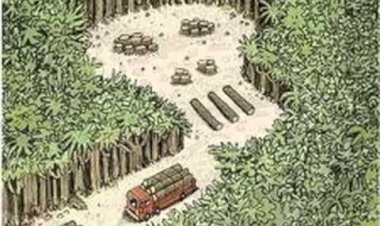 Desmatamento na Amazônia é o maior em 15 anos, e Governo é acusado de esconder dados da COP26