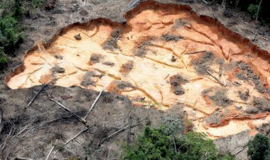 Com general, com Congresso, com tudo: Brasil esquece a COP26 e abre a porteira ao garimpo na Amazônia