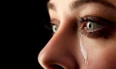 VIOLÊNCIA CONTRA A MULHER
