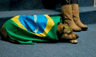 O brasileiro é cordial ou simplesmente cordeiro?