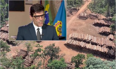 Delegado Saraiva denuncia “máfia da Amazônia” do governo Bolsonaro e cita nomes