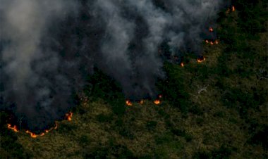 Amazônia registra maior média diária de queimadas do governo Bolsonaro