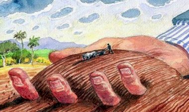 Bolsonaro, a reforma agrária e a mentira dos 350 mil assentados – Por João Vicente Goulart