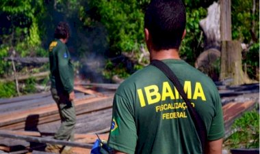 COMO O IBAMA PERDEU MAIS DE 1 BILHÃO DE REAIS