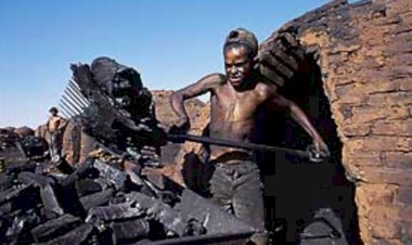 Escravidão contemporânea: uma nova relação laboral de um capitalismo poderoso e estruturado. Entrevista especial com José de Souza Martins