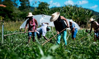 Novo Plano Safra: agricultura familiar forte é ferramenta contra fome, machismo e racismo