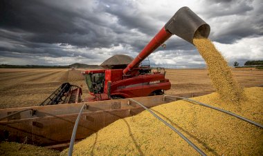Conab estima safra recorde de 317,6 milhões de toneladas em 2023