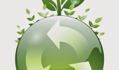 As vantagens que podem fazer do Brasil a maior potência industrial sustentável