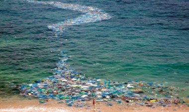 Plástico: Como corporações sabotam a reciclagem