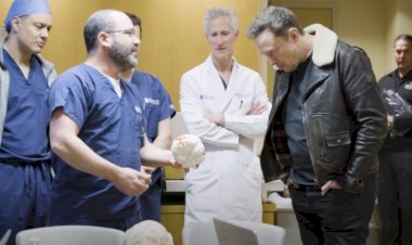 “Eu tentei avisar”, afirma Miguel Nicolelis sobre falhas em implantes cerebrais de Elon Musk