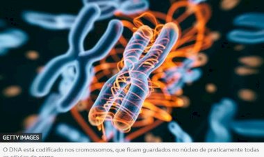 As 8 milhões de mutações inéditas encontradas no DNA do povo brasileiro