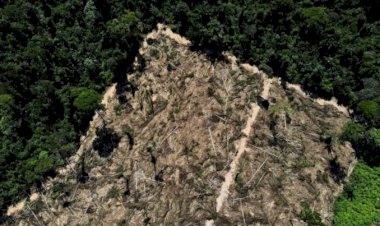 PL do licenciamento ambiental é “maior retrocesso em 40 anos”, diz ex-presidente do Ibama