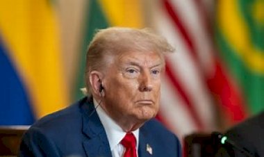 Muy patriota: Bolsonaro envolve Trump e prejudica empresas e economia brasileiras