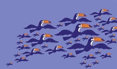 PSDB perdeu a direita e cavou a própria cova com rachas e traições