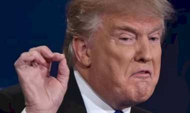 Trump quer impunidade de golpistas e ataca o Brasil com sobretaxas comerciais de 50%