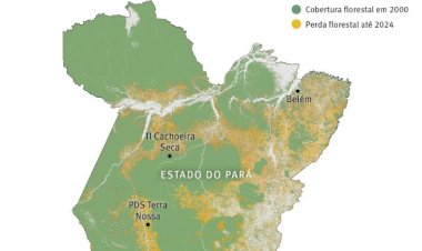 JBS exportou carne de fazendas ilegais da Amazônia para Europa, diz relatório