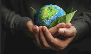 COP30: o que é, quando acontece e o que será discutido em Belém