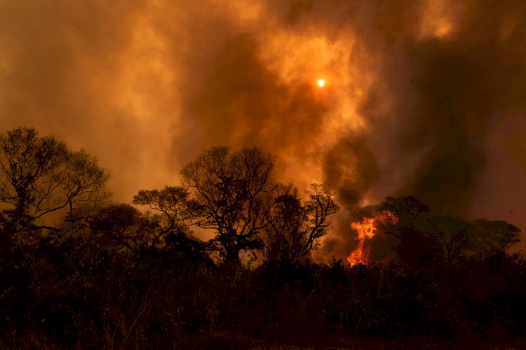 A MÃO QUE ACENDE O FOGO