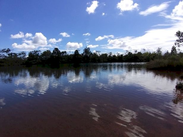 Ambientalistas do Psol-DF requerem ao MPF a anulação do decreto de privatização do Parque Nacional de Brasília