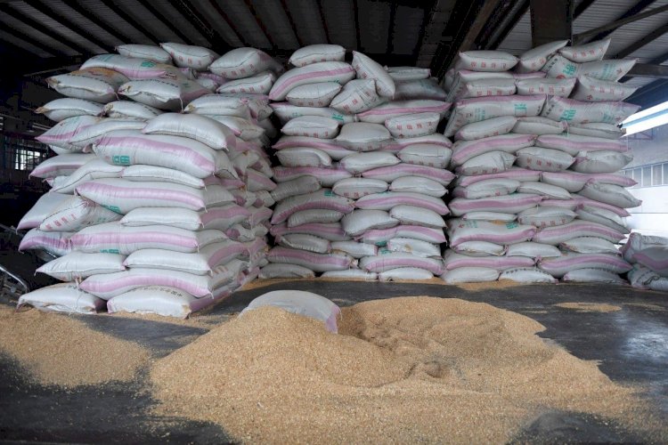 China passa a comprar soja da Tanzânia para reduzir dependência do Brasil