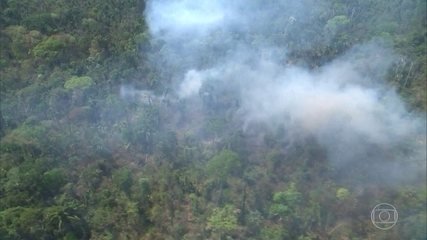 Sustentabilidade: Nossa Amazônia perdeu 8 por cento do seu território em 18 anos