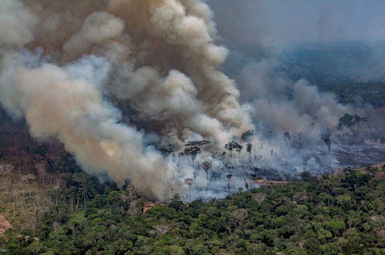 AMAZÔNIA EM CHAMAS, UMA RADIOGRAFIA DE FOGO E VIOLÊNCIA EM RONDÔNIA