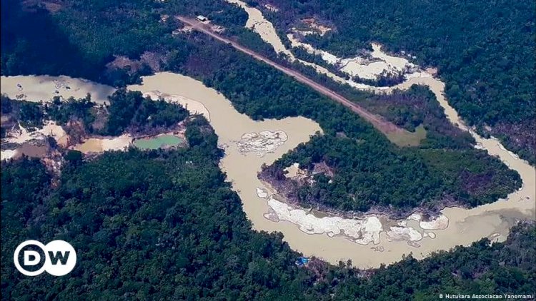 “A 12 km”: indígenas Yanomami isolados nunca viram o garimpo tão próximo