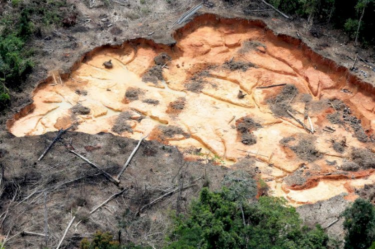 Com general, com Congresso, com tudo: Brasil esquece a COP26 e abre a porteira ao garimpo na Amazônia