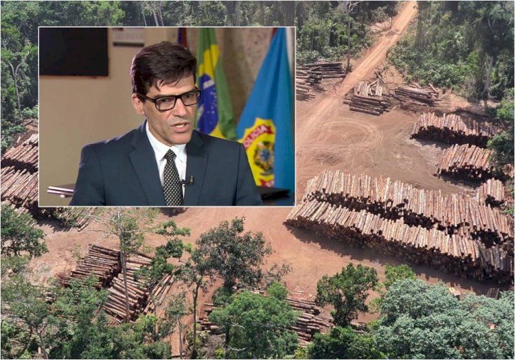 Delegado Saraiva denuncia “máfia da Amazônia” do governo Bolsonaro e cita nomes