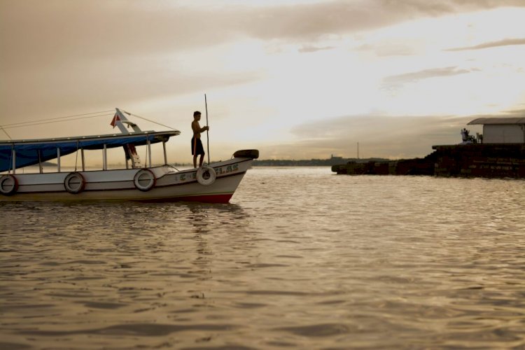 Por 10 votos a 1, STF determina reativação do Fundo Amazônia