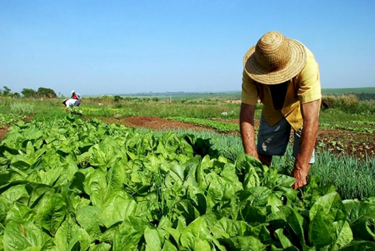 MST ganha espaço na transição e pode conquistar avanços na reforma agrária