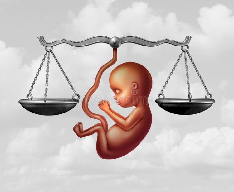 EM MEIO A AGRESSÕES, VOTAÇÃO DE PROIBIÇÃO DO ABORTO É ADIADA NA CÂMARA